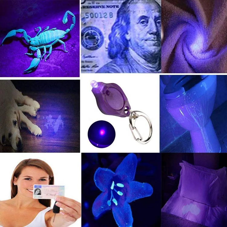 Пластиковый брелок фонарик Обнаружение факел мини 395 нм УФ брелок свет