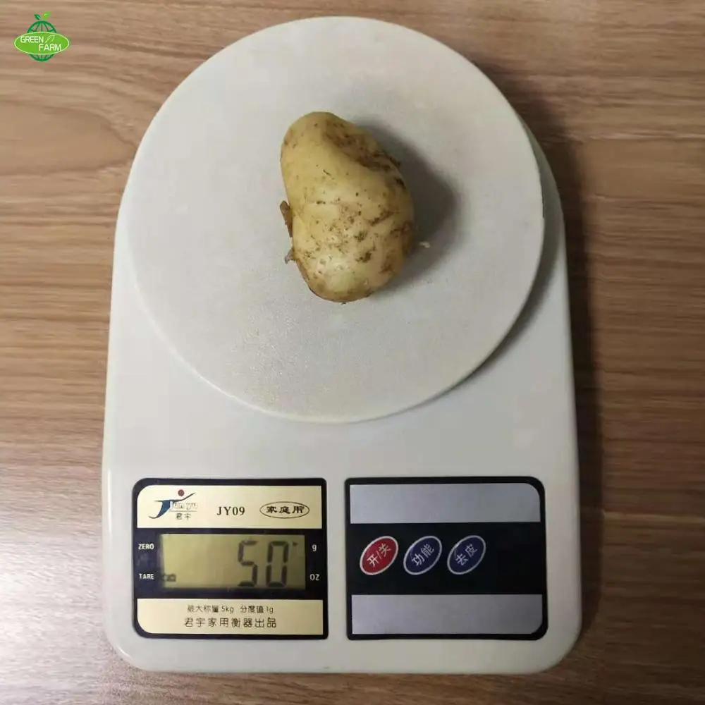 Fresh potato seed,potato seeds for sale