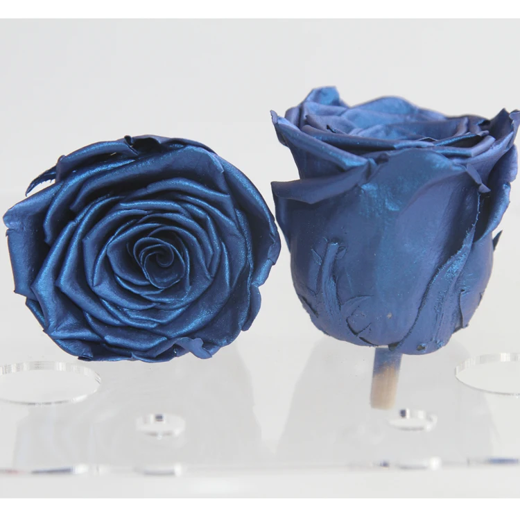 
Latest real natural Metal Metallic preserved rose heads Golden long lasting preserved roses for decorative metal roses 