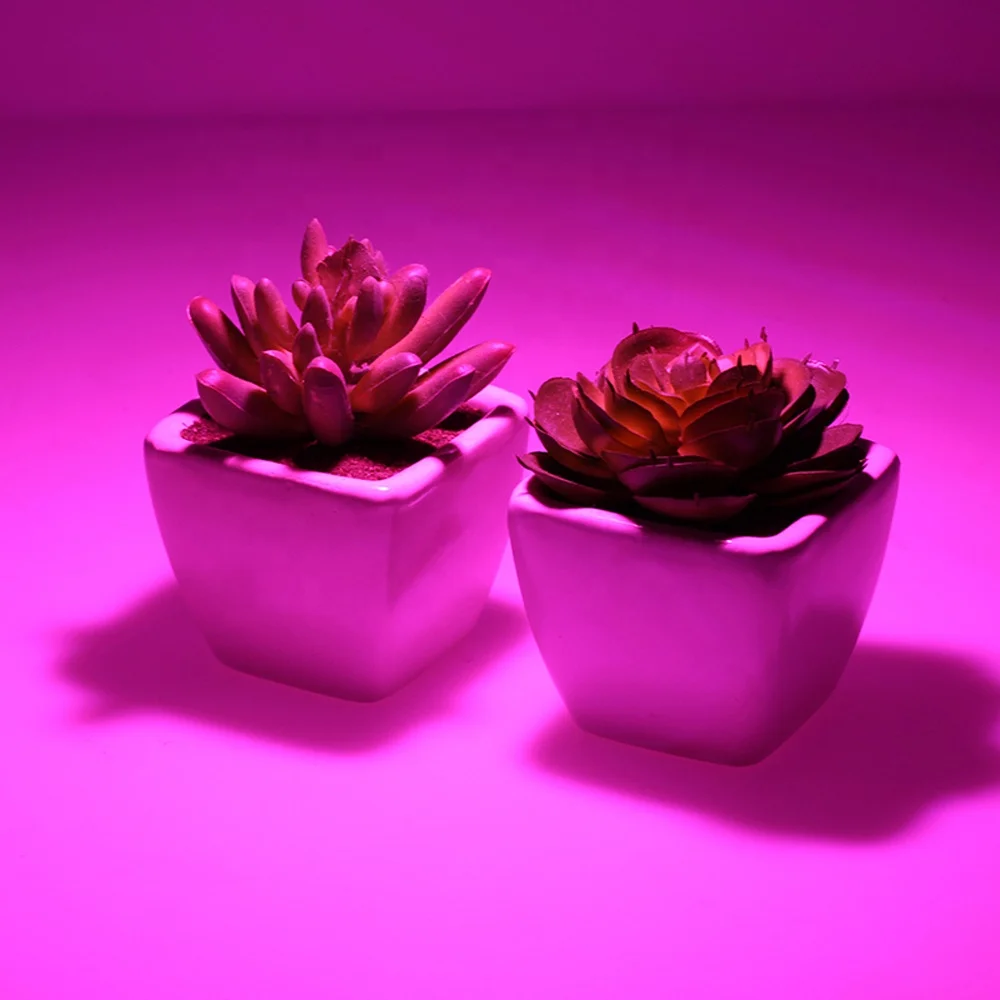 
Solderless Dimmable 220v Led COB 20W 30W 50W Full Spectrum Plant Grow Light COB Chip 