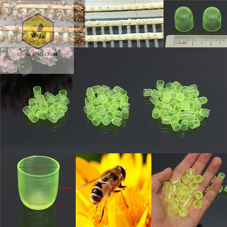 Beekeeping Tools Plastic New Beekeeping Cell Cups Royal Jelly Cups Set Queen Bee Rearing Equipment