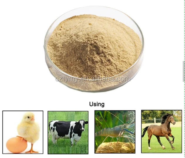 Cattle Feed Raw Material Feed Yeast For Animal Feeds