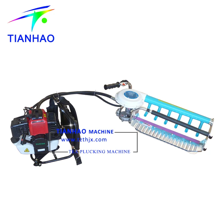 
L4C-60(34F) One Man Operated Ochiai Tea Leaf Plucker Machine in Sri Lanka, Vietnam 