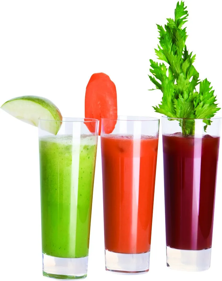 High power 800W Juice Extractor