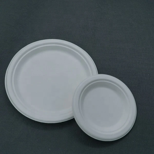 Bio compostable  degradable tableware dinner sets 9 inch disposable sugarcane bassage paper pulp plate
