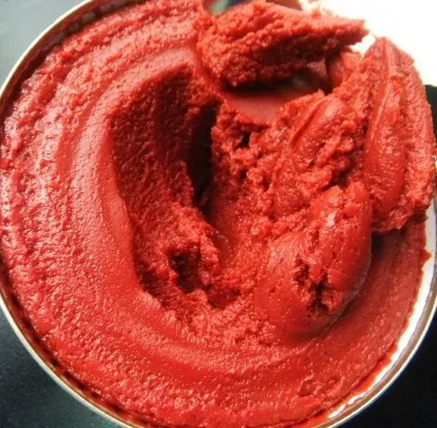 Dunhe Foods supply Hot Sell Canned Tomato Paste, Tomato Sauce, Tomato Ketchup