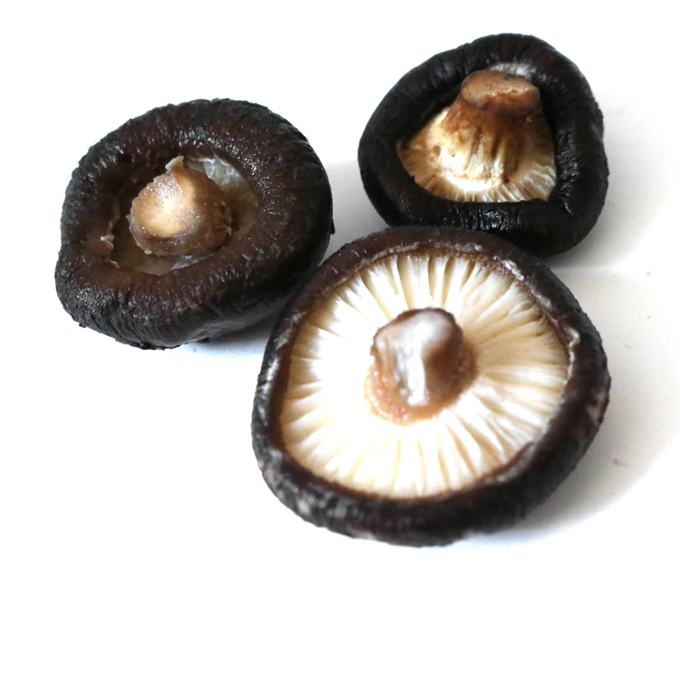
Wholesale Chinese shiitake dried magical shiitake mushroom prices 