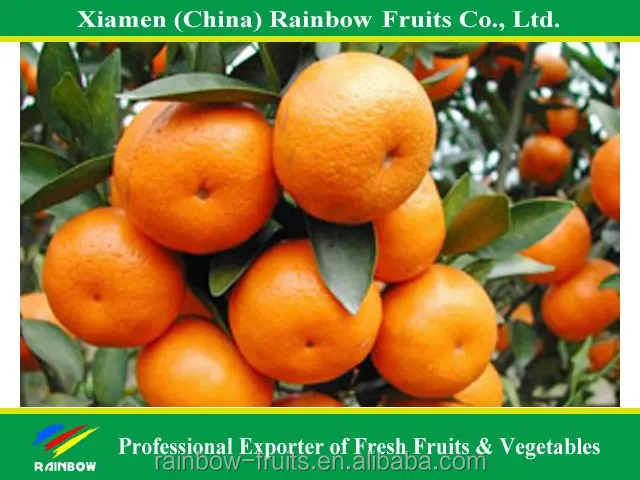 
Hot Sale Fresh Sweet High Quality Ponkan/Lugan Mandarin Orange 