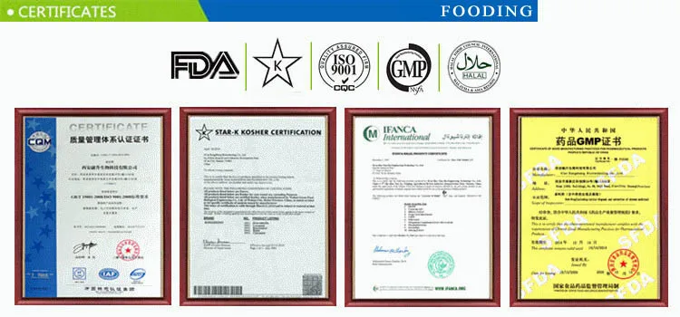 
China Additives Food Grade Non Gmo Soya Lecithin Powder 