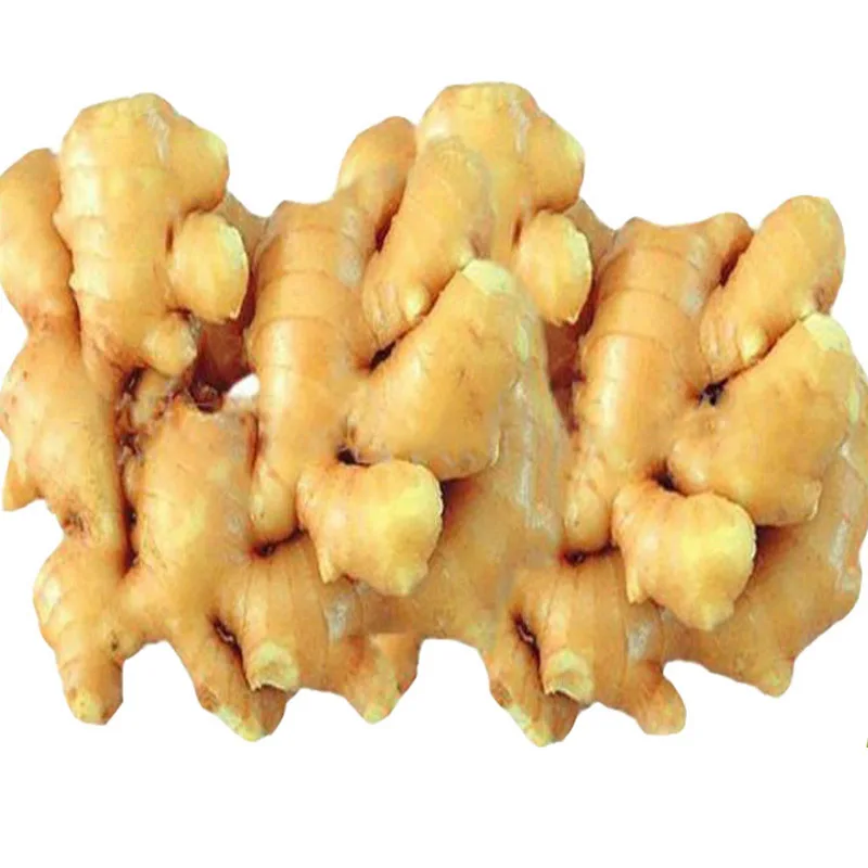 
Fresh ginger specification 