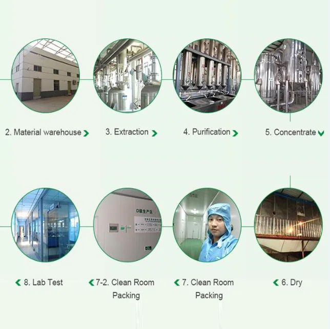 
Panax ginseng root extract ginsenoside 80% powder 