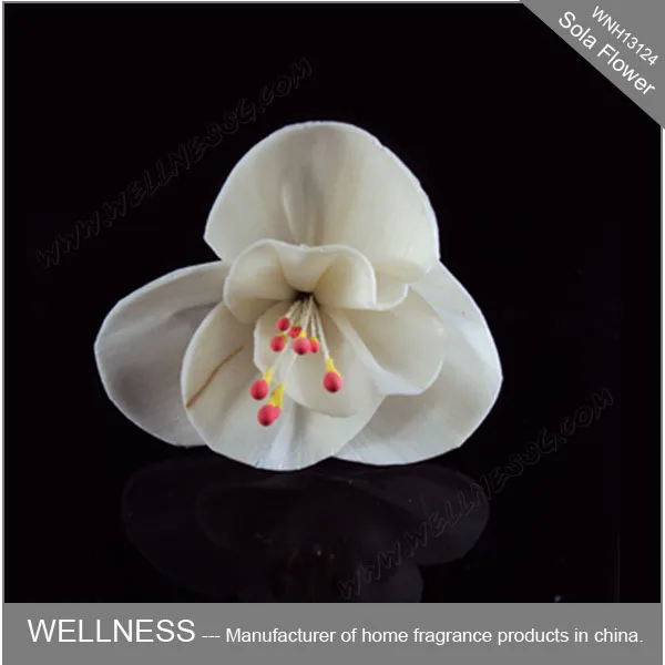 sola flower for reed diffuser