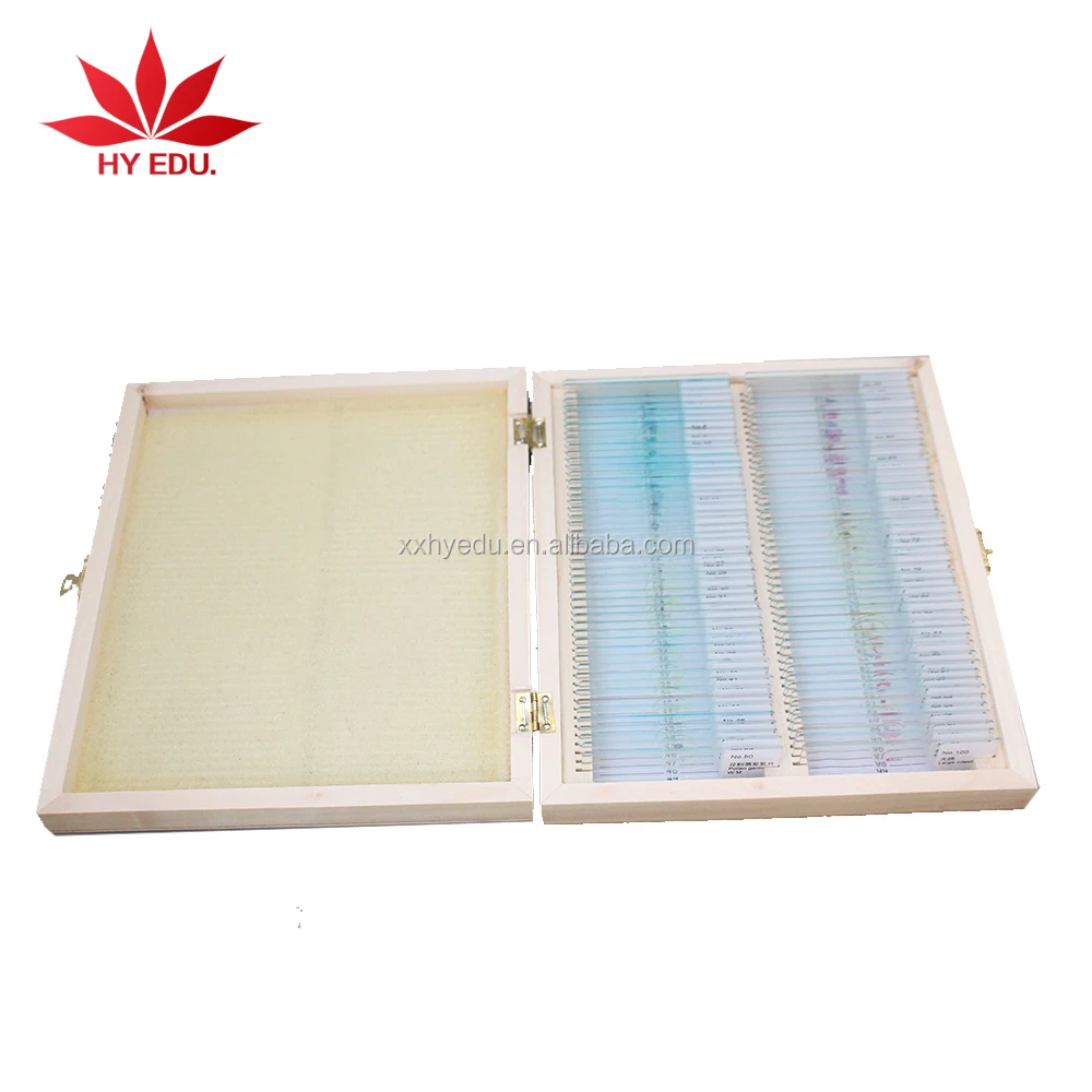 Most popular 100pieces Slide Storage wooden pathology microscope slides box