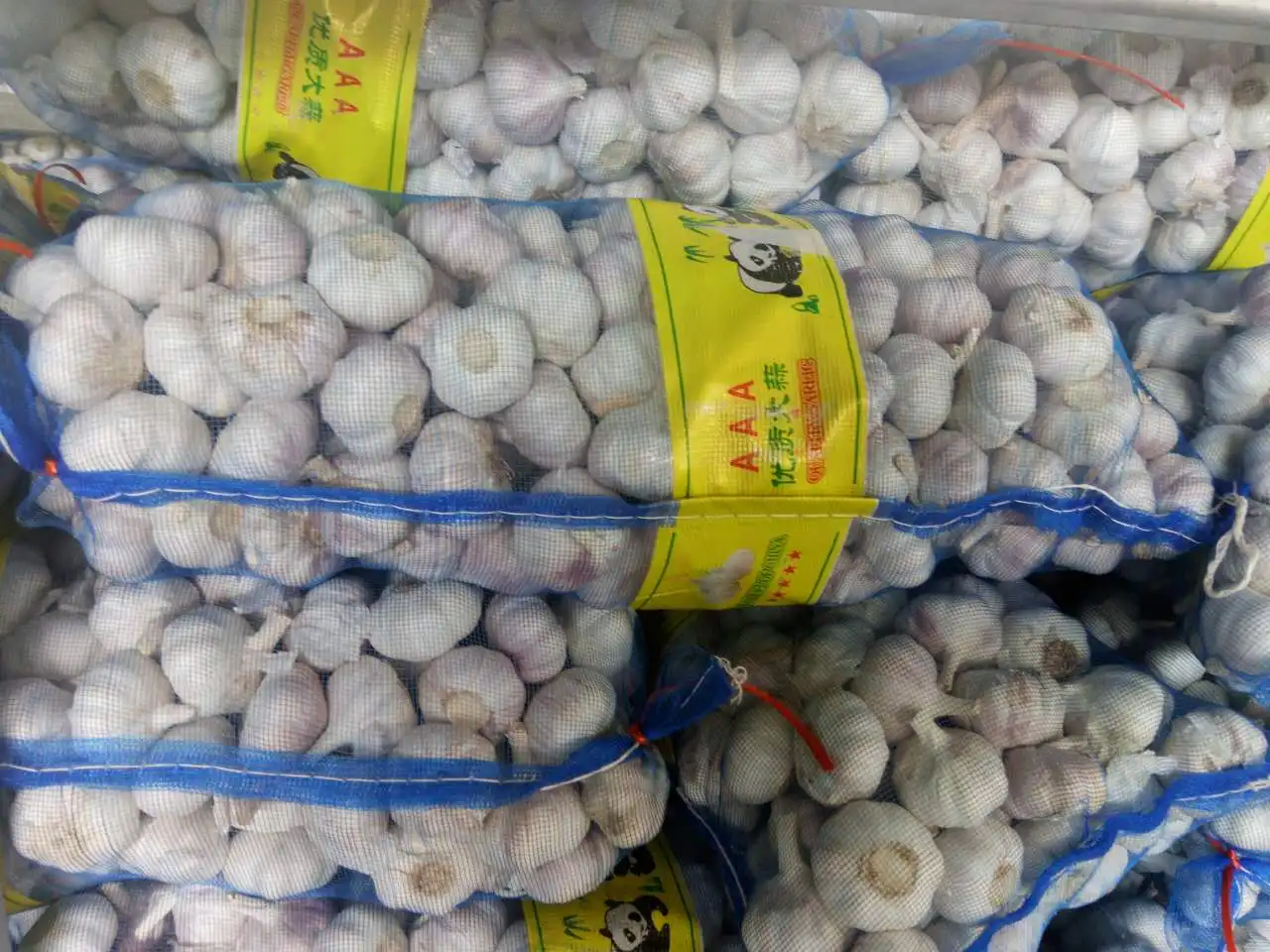 
wholesale garlic buyers and fresh normal white garlic indian garlic 