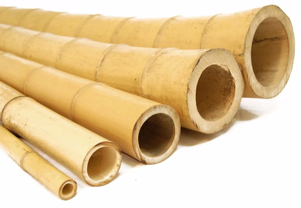 Moso Bamboo Poles/ Bamboo Canes/ Bamboo Sticks for Sale