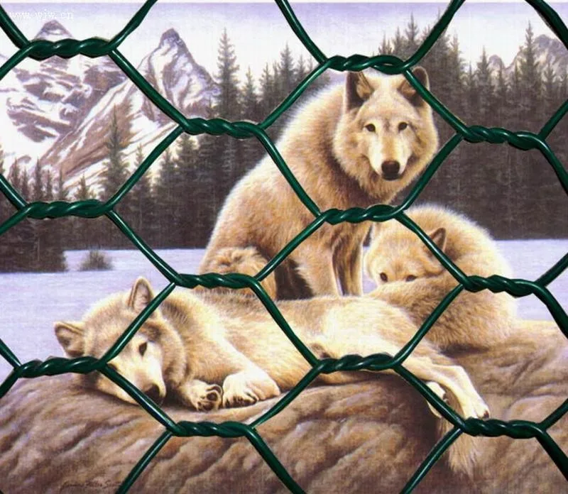 China supplier Galvanized Hexagonal Wire Mesh/Hexagonal metal mesh/anping hexagonal mesh