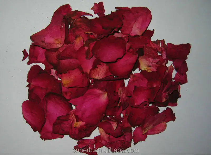 
Rose bud Rose flower mei gui hua 