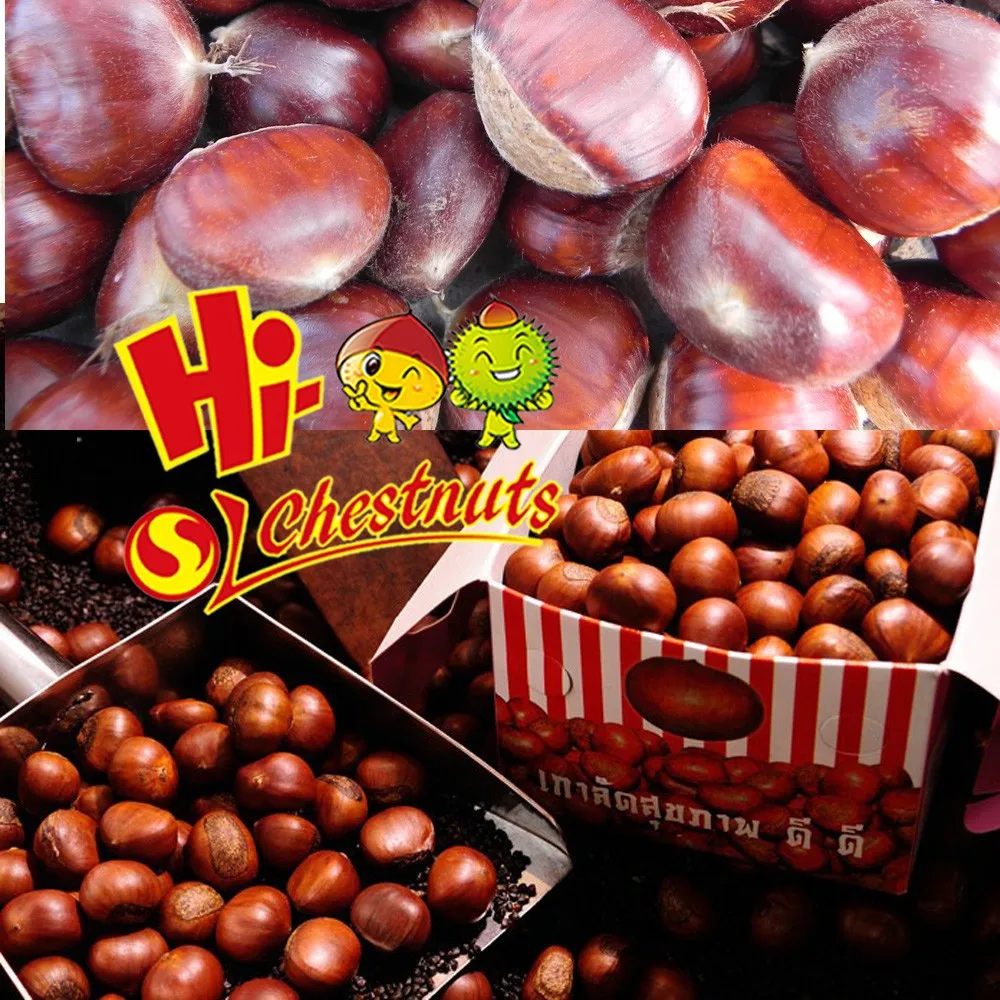 Нового Урожая Органических Массового Свежие Каштаны для продажи
