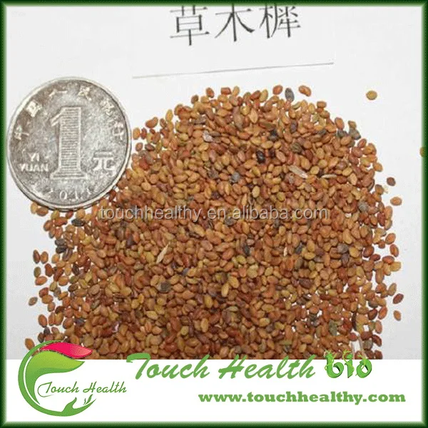 2021 Melilotus suaveolens seeds/Melilotus albus seeds/forage grass seeds