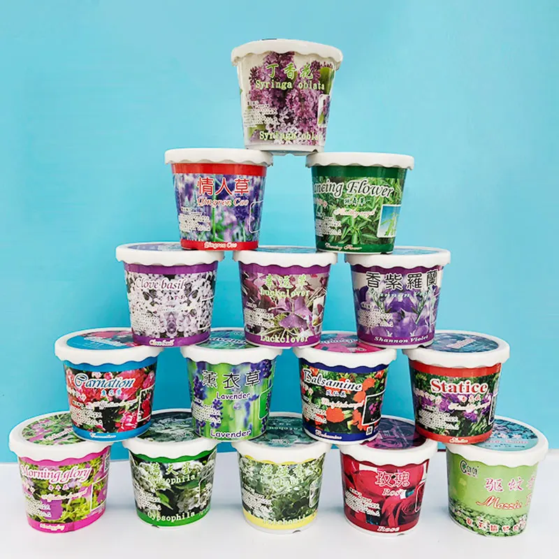 
Potted Plants Grow Baby Flower Growing Creative Home Gardening 