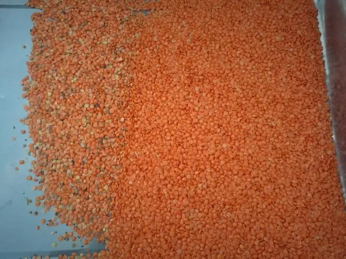 High Accuracy 4 chutes Lentil Color Sorter Machine