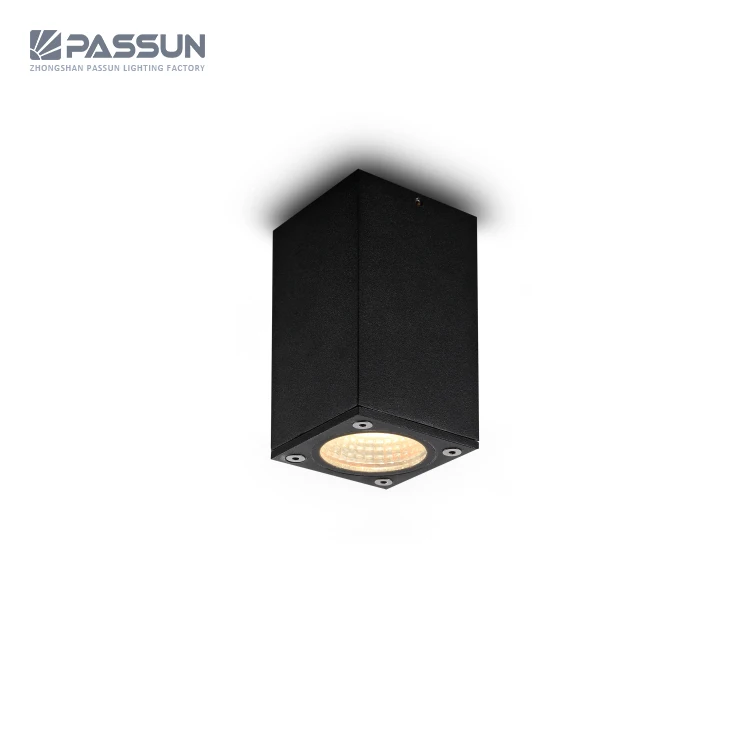 Outdoor cylinder black aluminium housing IP65 IP54 IP44 9W 12w ceiling surface mounted led cob downlight