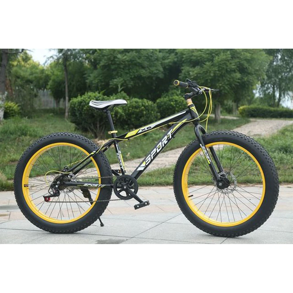 2019 Customized fat bike Wholesale downhill bicycle New model bikes high quality snow bike