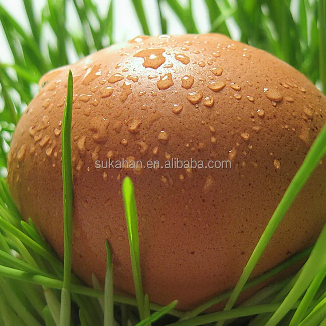 
SUKAHAN Poultry Premix Vitamin Mineral Probiotics Additives to Improves Quantity And Quality of Eggs 