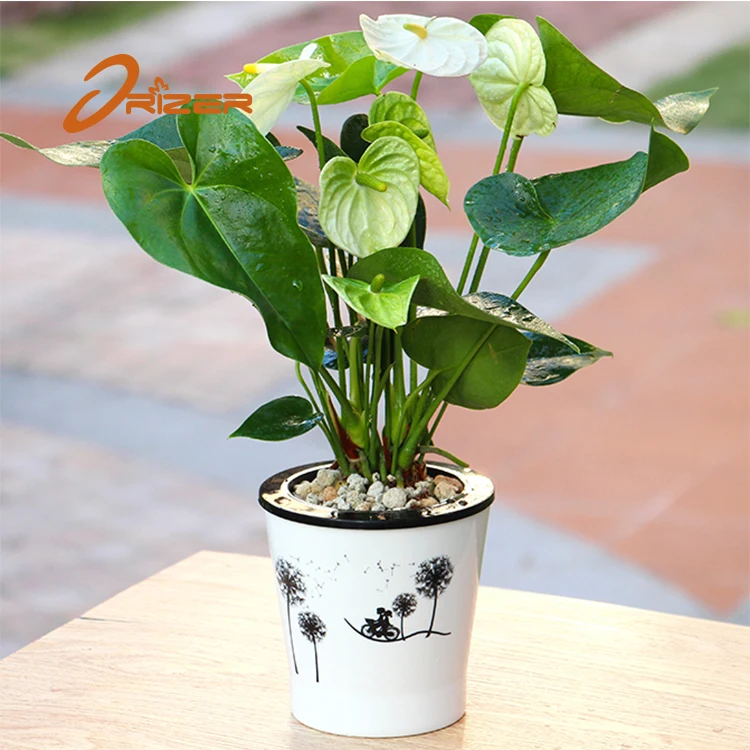 Free sample factory wholesale european style plastic nursery pot ideas garden flower pot