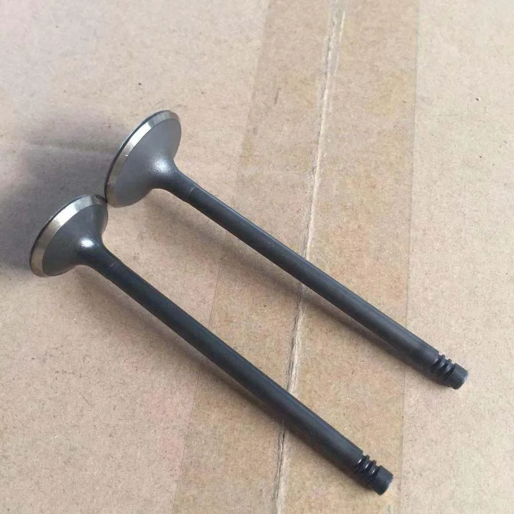 High quality Engine Valve For Chery 481 In 32.7*6*108  Ex 28*6*106.3 481H-1007011BA  481H-1007012BA