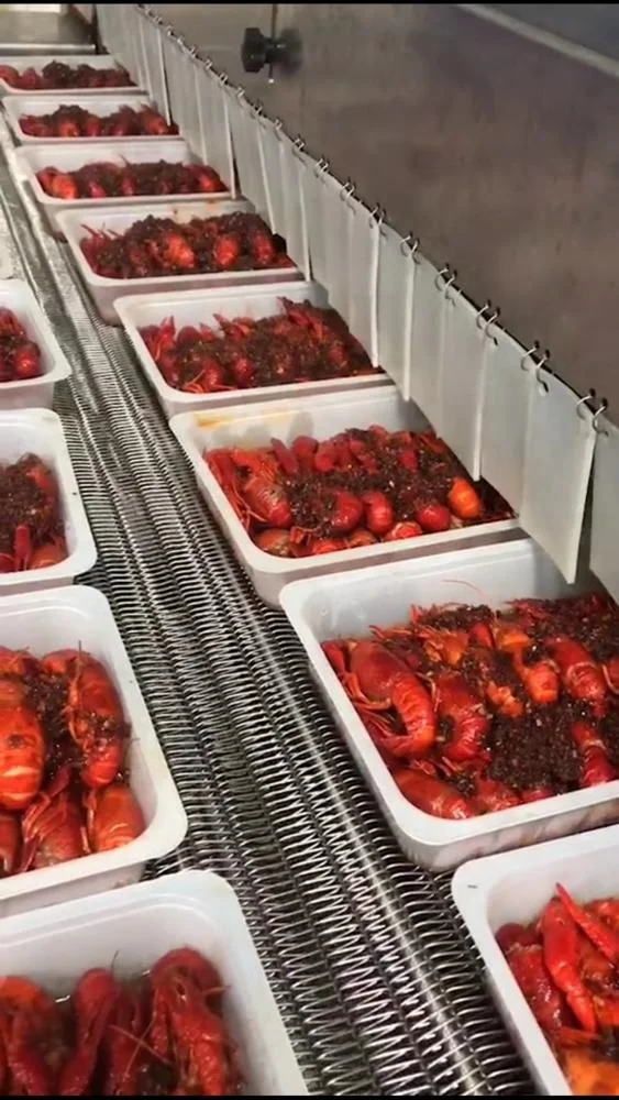 DJL Сухой Ледяной жидкий азот двойного использования туннельный морозильник для лобстеров/ползаков/лангусте