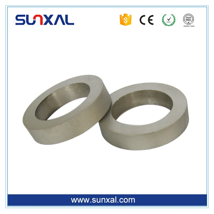 Professional NdFeB Manufacturer Permanent Neodymium Large Ferrite Ring Speaker Magnet
