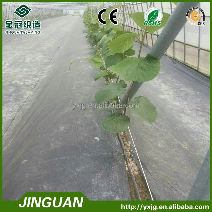 Weed control mat woven PP Ground Cover silt fence fabric mulch film polypropylene woven weed mat