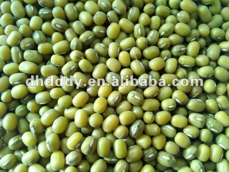 
China green mung bean 