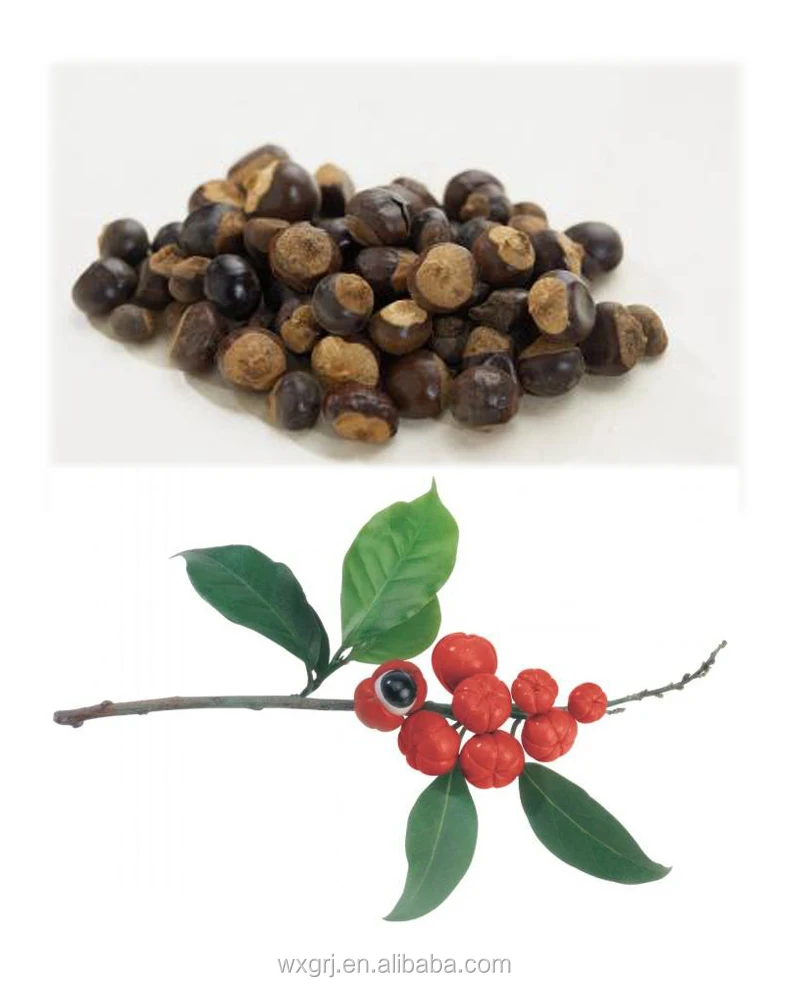 
Factory Supply Natural Guarana Extract 20:1 10% 20% Powder & OEM Service 