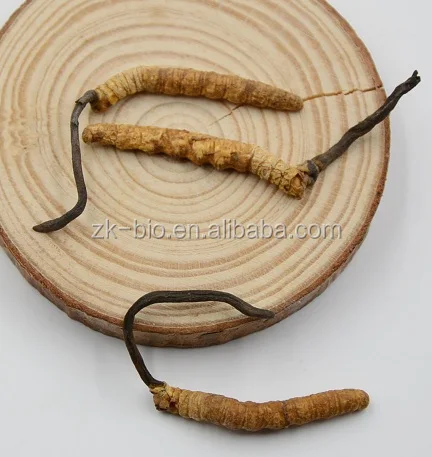 Горячая Распродажа, кордицепс дикого сырья высокого качества