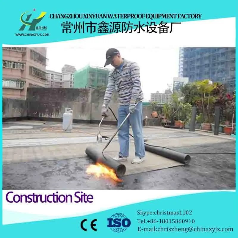 APP Waterproof Roofing Membrane for Intex Swimming Pools