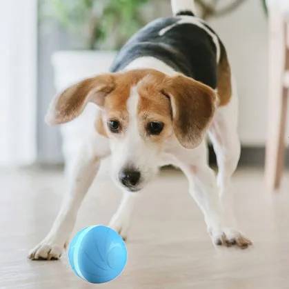 Automatic Product Smart Wicked Ball Chew Plush Interactive Toy Roller Ball Dog Cat Activation Electric Pet Automatic Pet Ball