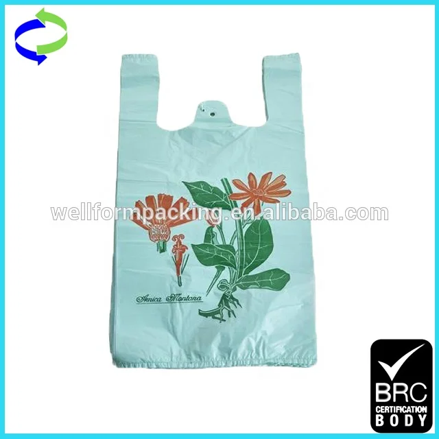 HDPE Plastic Packaging Bag for Fruit and Vegetables