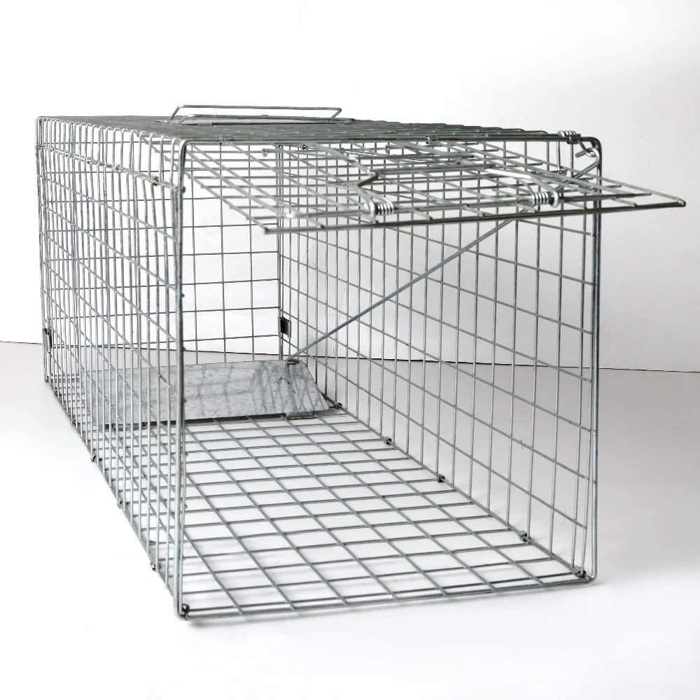 Professional One Door Racoon Trap  Large Live Animal Trap