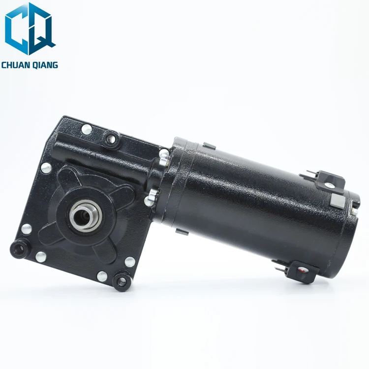 
73ZY12-102WJ 12V 24V 180W-320W Permanent Magnet worm gear Electric Golf Buggies Trolley DC Motor 