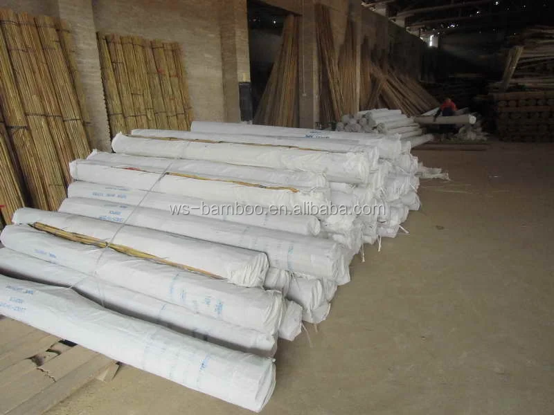 Bamboo Garden Supplies/Bamboo cane for support grape growing 150cm 12--14mm