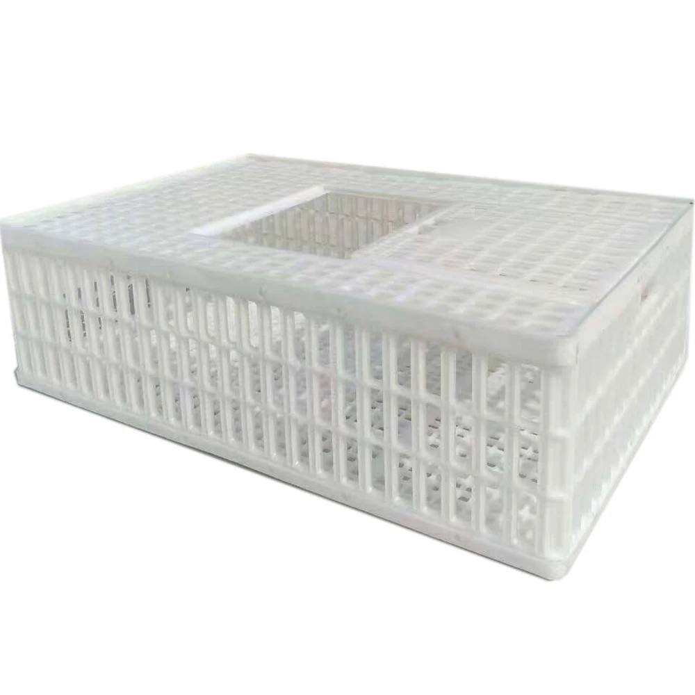 Chicken crate with lid (3)