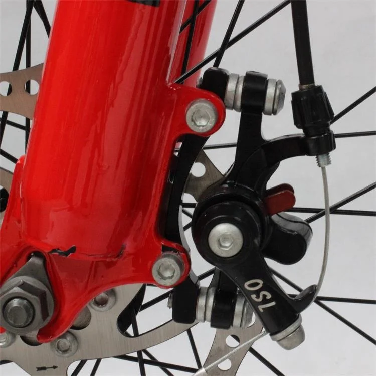 DOUBLE Shoulder shock  front fork 26 inch  26*4.0 fat tire mountain bike bicycle