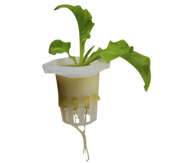 New Product Agriculture Greenhouse Plastic Net Pot NFT For Hydroponic System