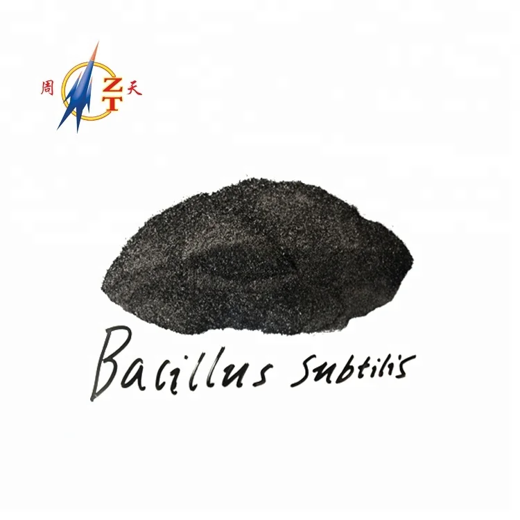 High Concentration water soluble high effective Bacillus subtilis