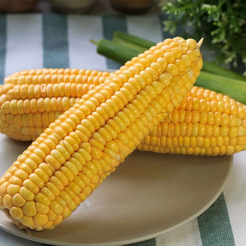 High Yield Chinese Hybrid Bulk Incredible Sweet Corn Seed For Cultivation