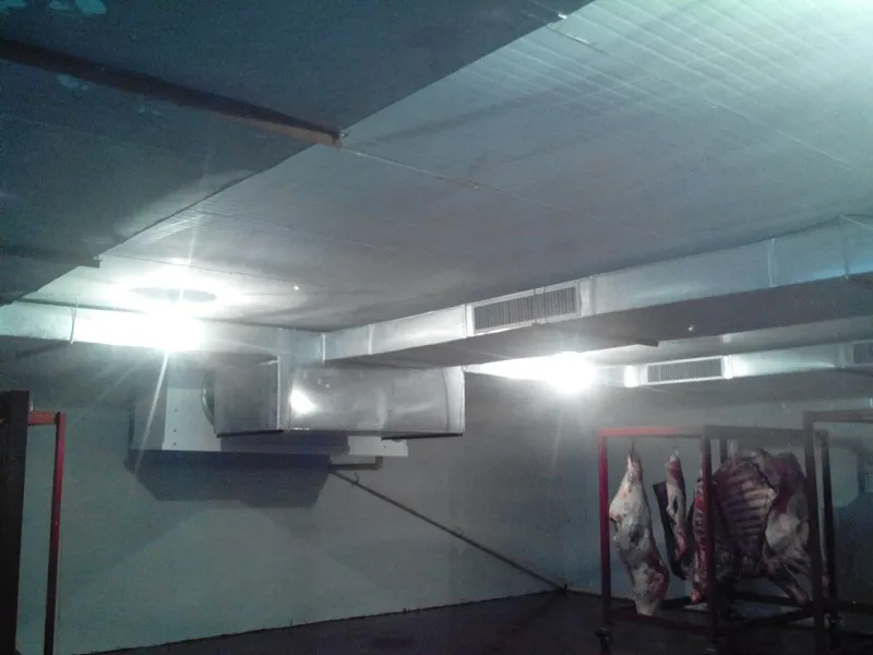 poultry processing cold room slaughterhouse cold storage room