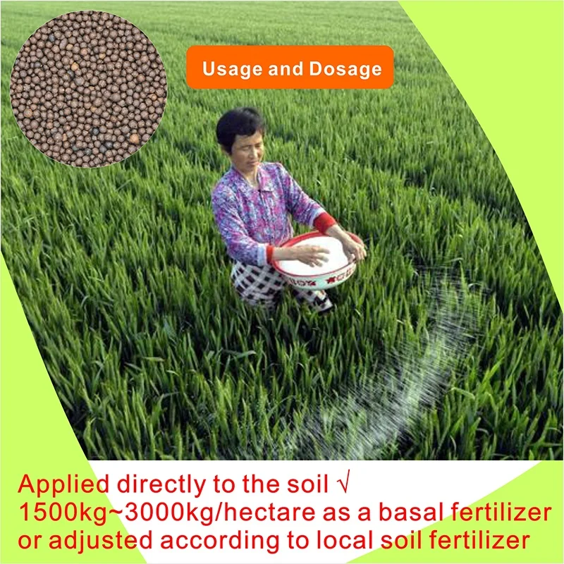 Compound Plant source Organic Amino Acid fertilizer with good price