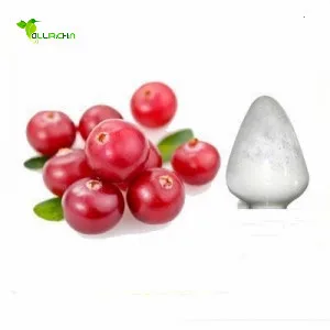 Healthway Factory 100% Pure Alpha Arbutin Powder